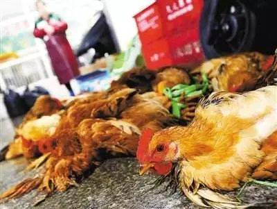 杏花村农产品批发市场整改水产家禽区环境
